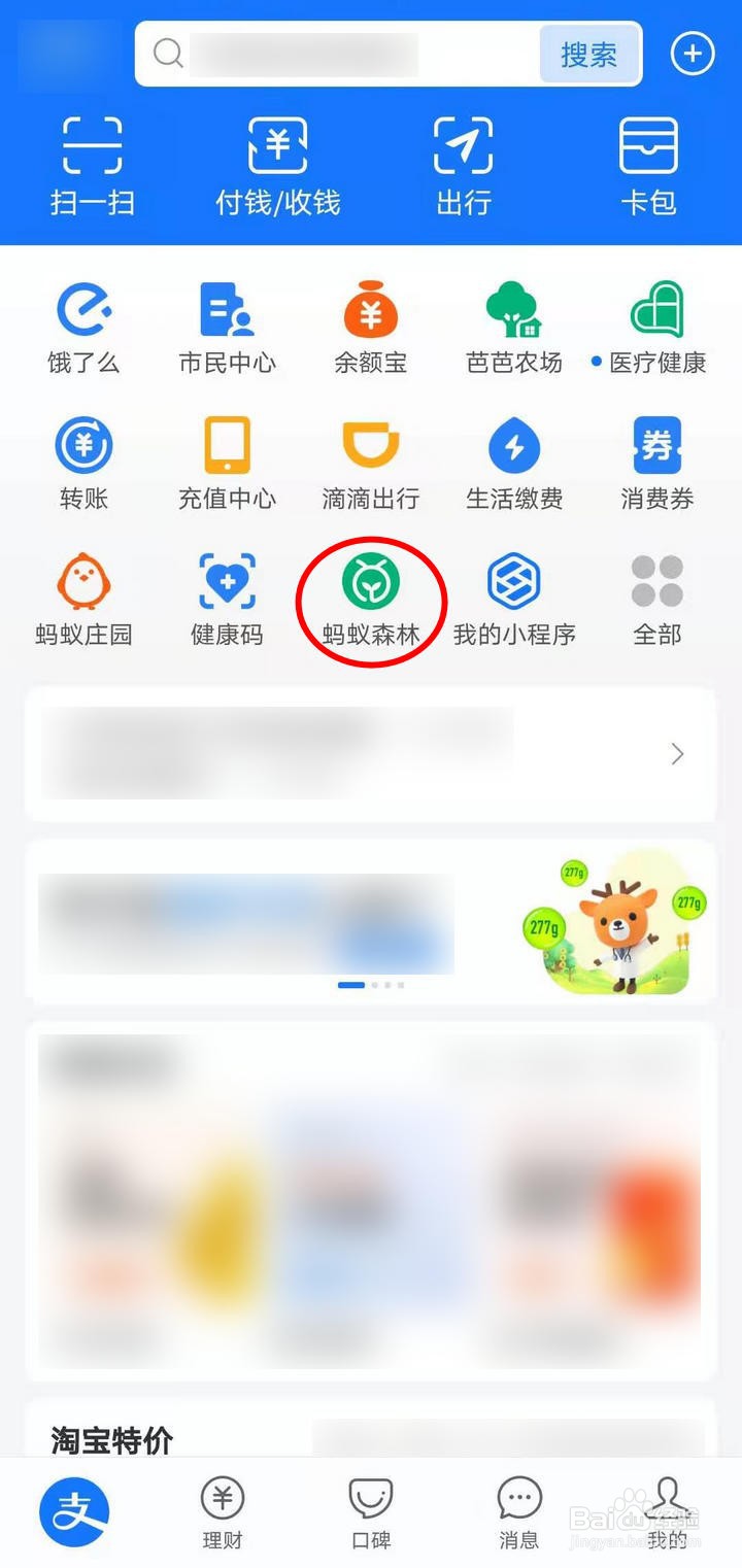 支付宝蚂蚁森林的小寒挂件如何获取