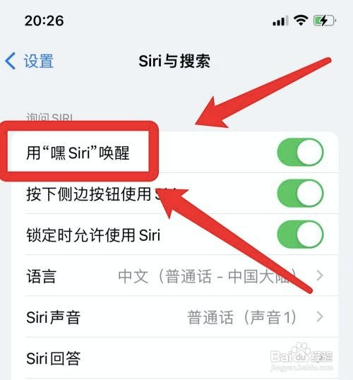 怎么关闭苹果13语音控制