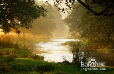 春日郊游注意事项