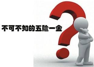 社保怎么办理缴费申报