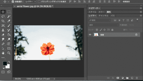 学会这20招PS操作技巧，轻松玩转Photoshop！