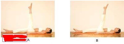 教你4招瘦臂运动