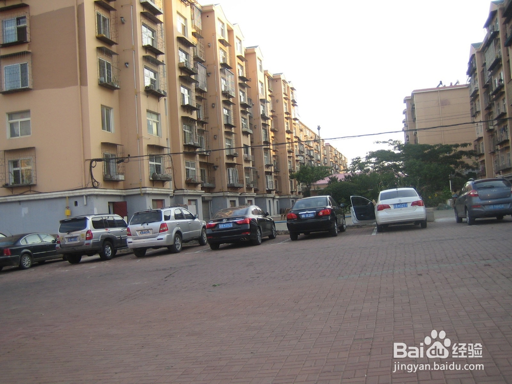 怎样告诉孩子安全过马路--51