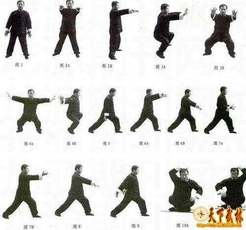 武当太和门铁布衫初级功