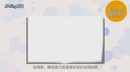 灭苍蝇的家庭小妙招有哪些