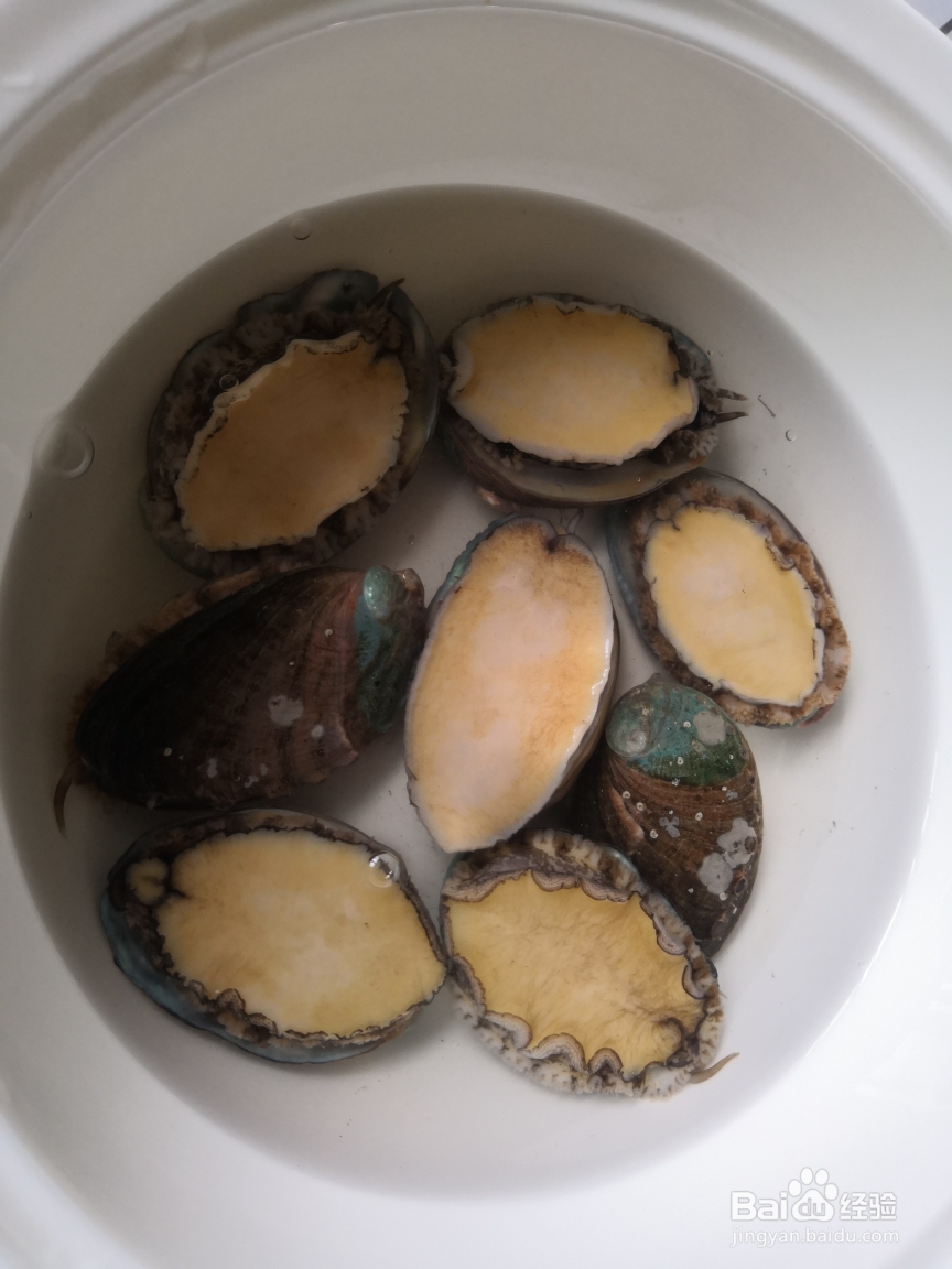 蒜蓉粉丝清蒸鲍鱼