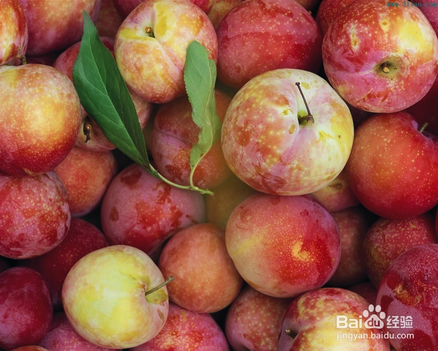 孕妇不能吃的水果有哪些？