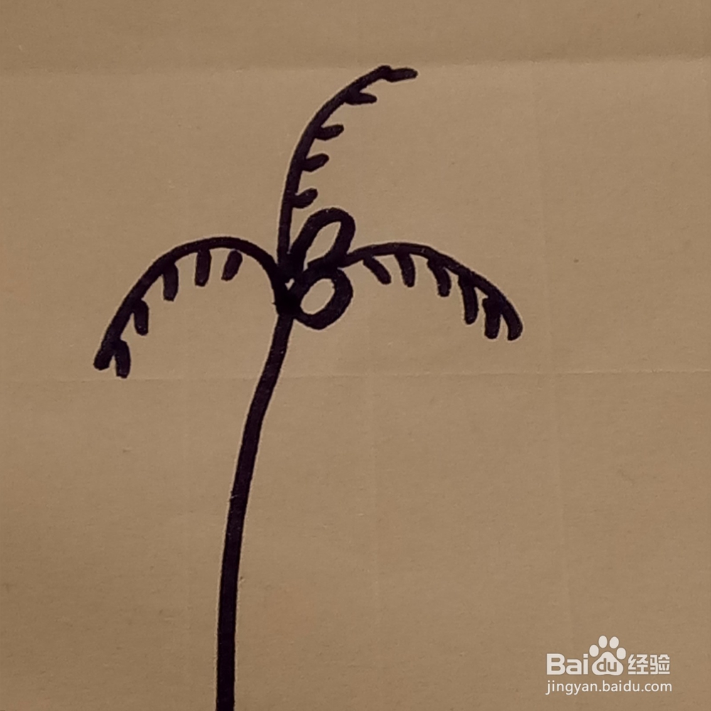 海边的椰子树幼儿线条简单绘画