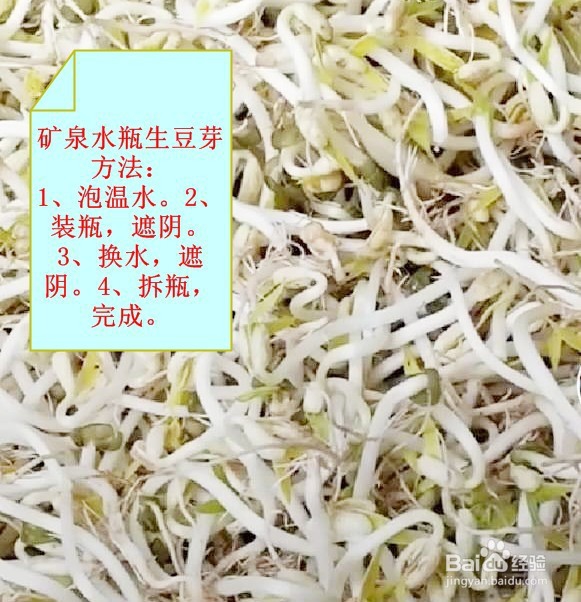 矿泉水瓶生豆芽的方法