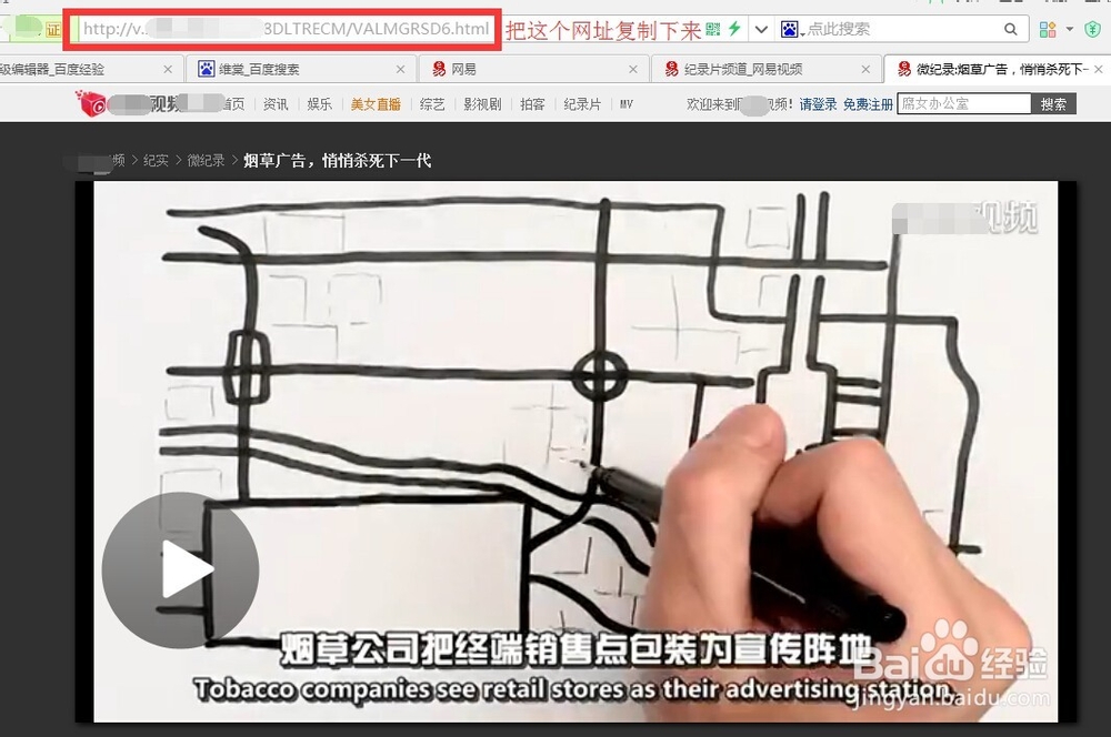 怎么下载网页里的视频