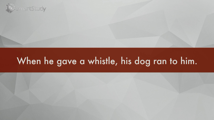 whistle是什么意思