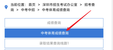 中考体育怎么算分