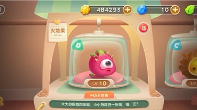 挑战模式宠物探索玩法攻略