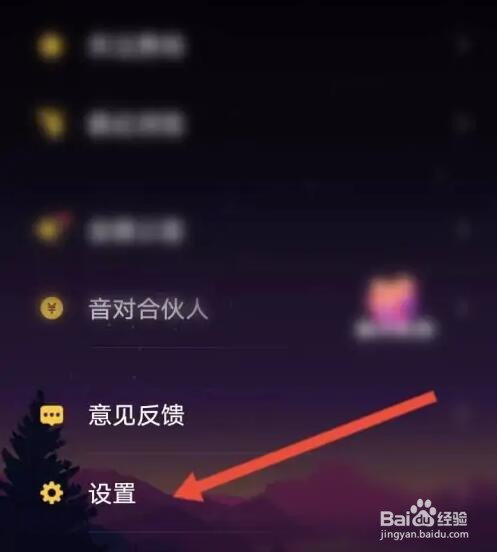 音对语APP如何开启隐身上线