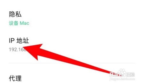 oppo手机的IP地址在哪儿进行查看？