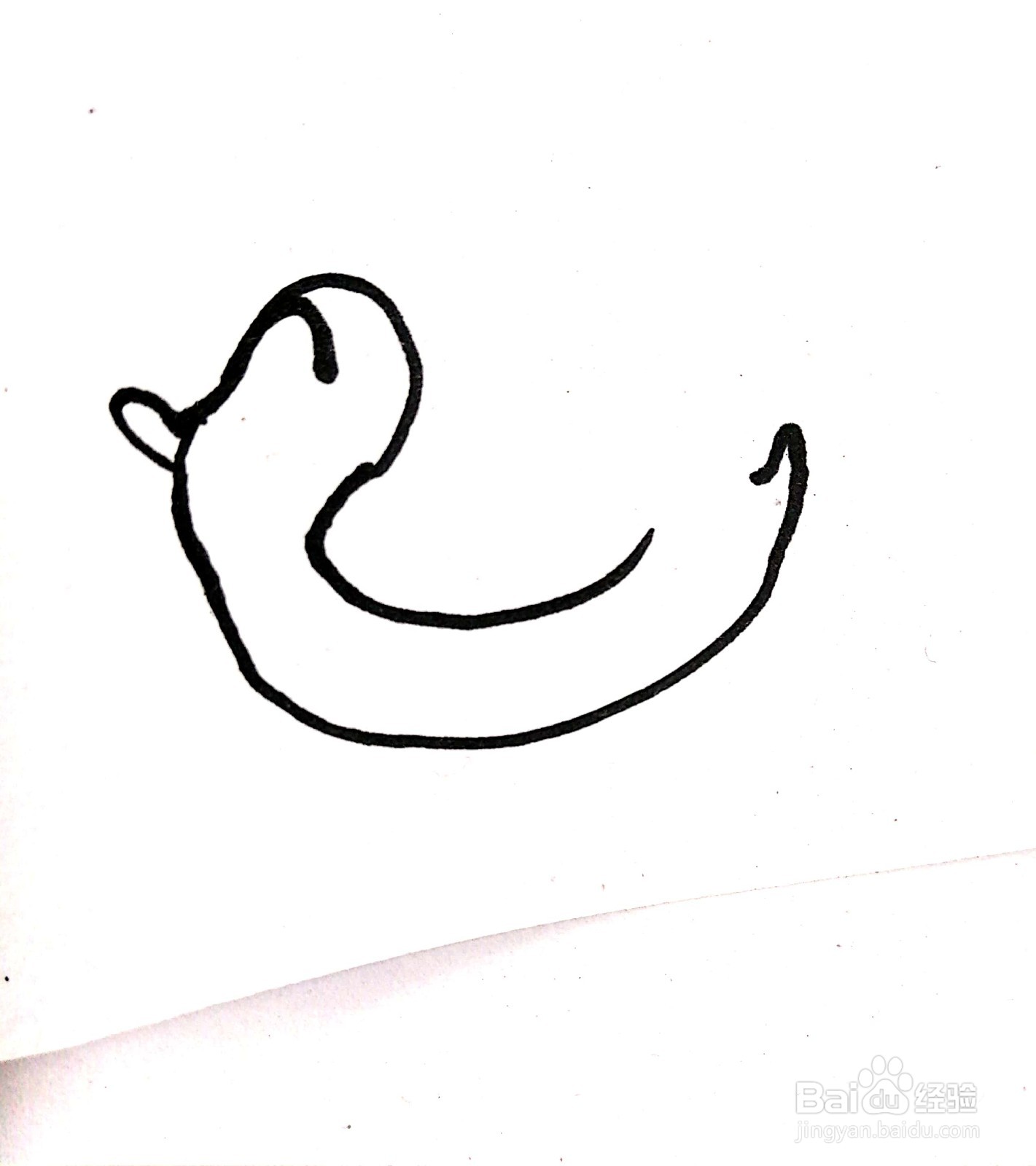 可爱的小鸭游泳圈线描画怎么画