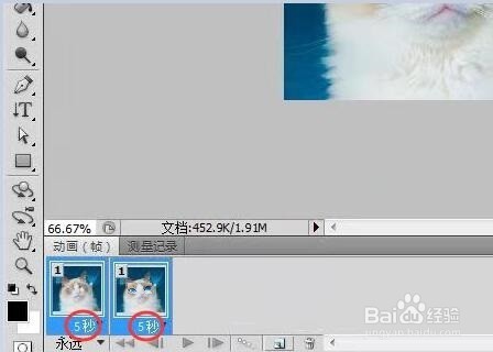 用PS制作动态猫咪表情包