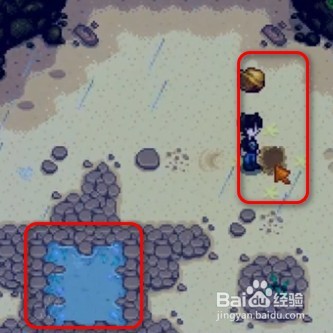 星露谷物语中金核桃如何获取