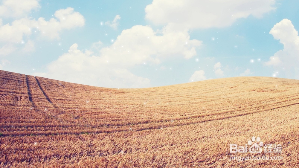 经济信息资源开发与利用：[41]复习总结四十一