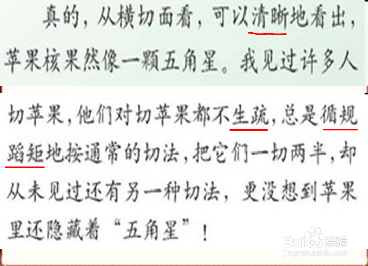 如何教《苹果里的五角星》