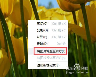 如何使用ABBYY FineReader 14插入和编辑图片
