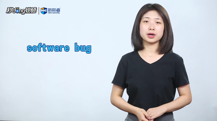 bug是什么意思