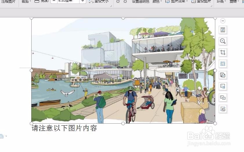 word图片不显示或显示不全怎么办?