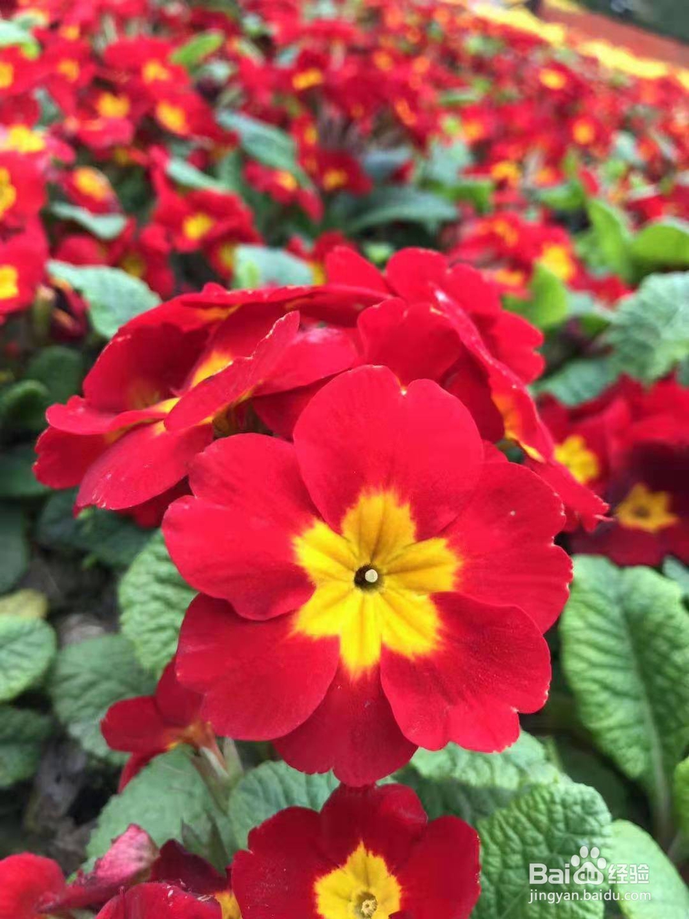 说出这三句话，情侣之间将永远不可能再复合？