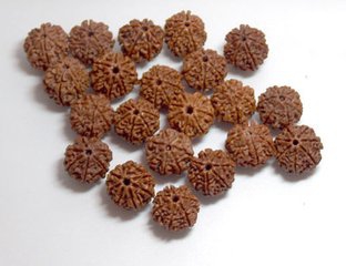 金刚菩提子开裂及补救方法 ，快来学学吧！