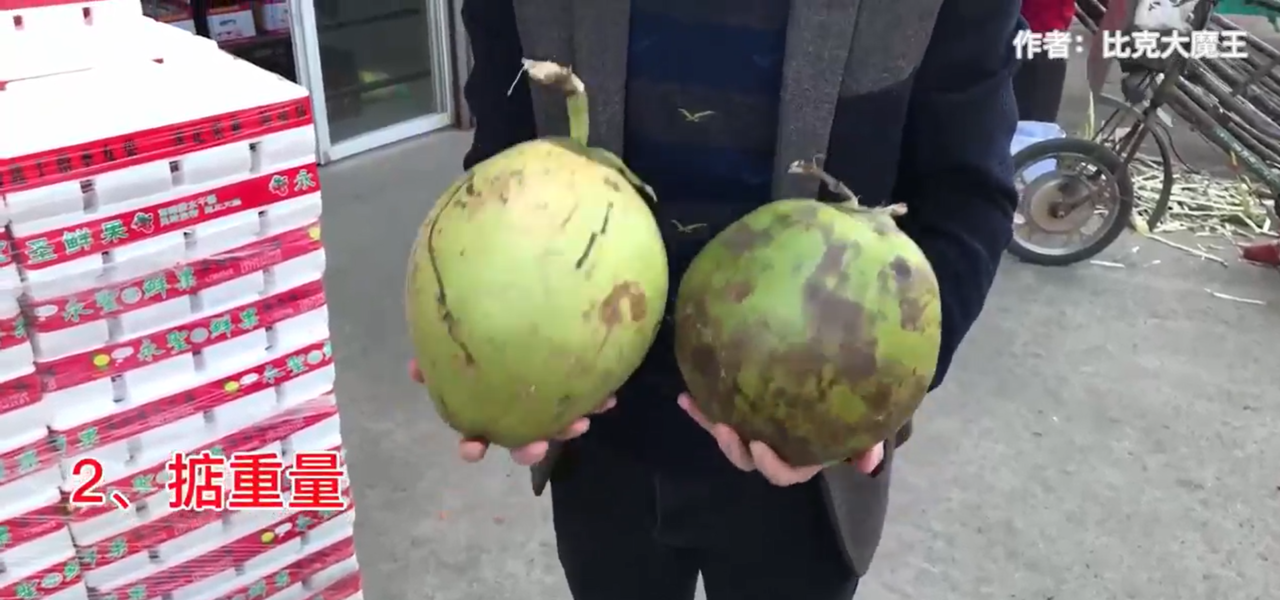 青椰子怎么挑选?