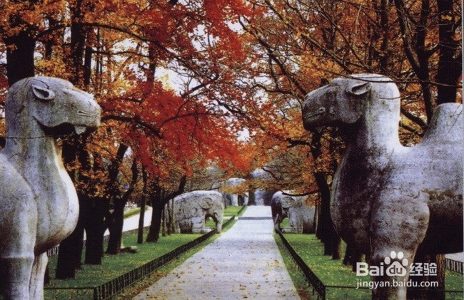 明孝陵旅游散记