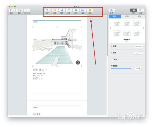 Pages文稿中的"项目建议书"模板如何使用