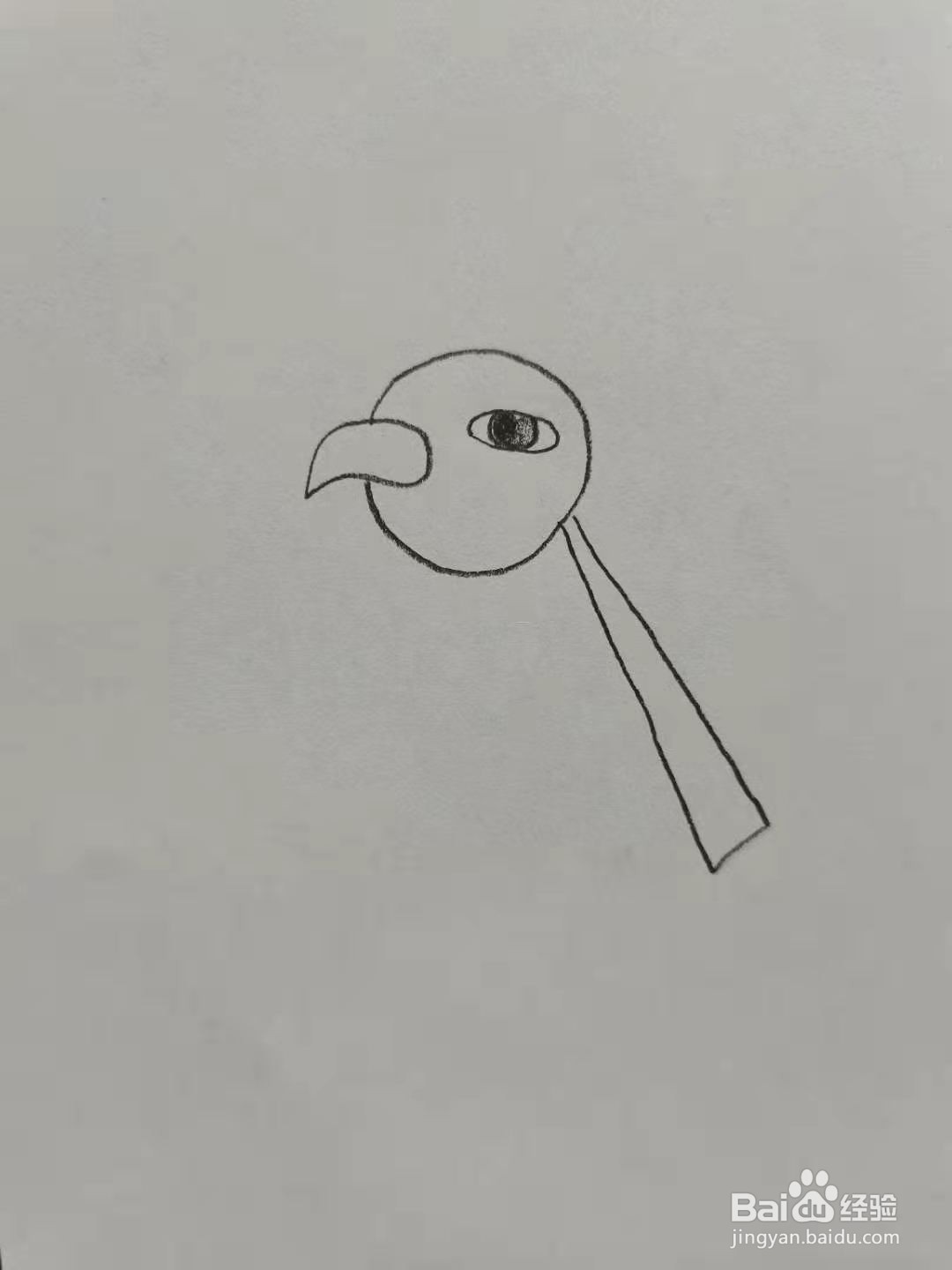 天然鸟怎么画
