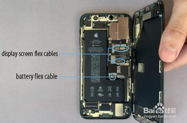 如何更换iPhone 11 Pro扬声器