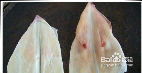 简单的家常菜-炒鱿鱼