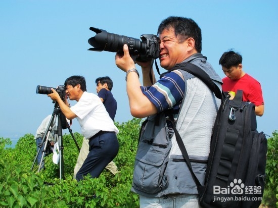 怎么学习摄影 摄影入门教程