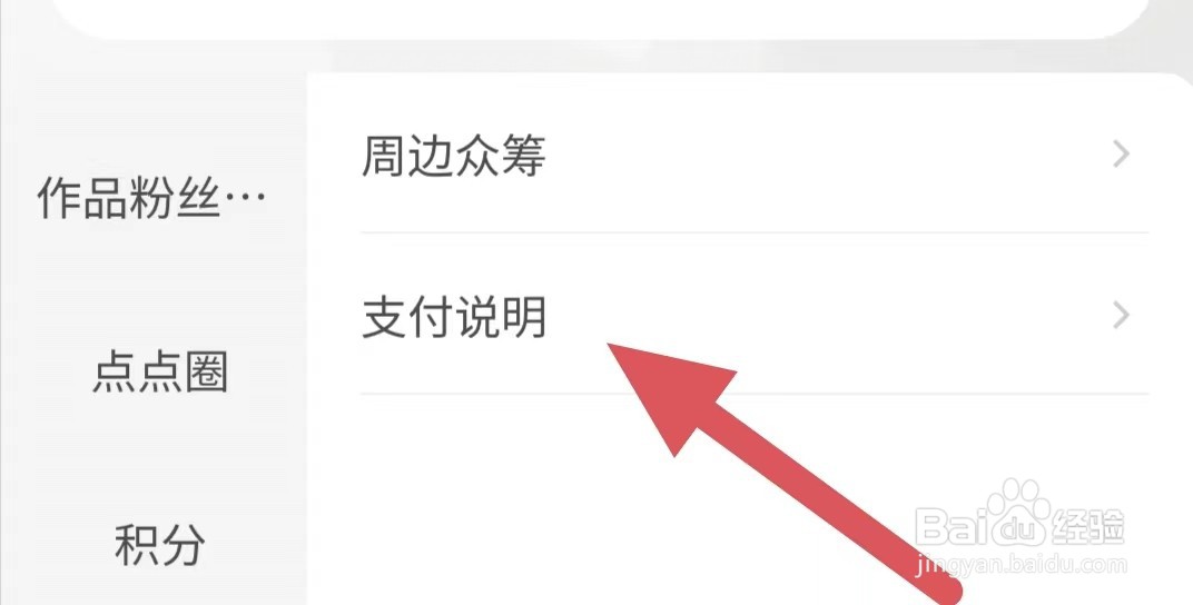 起点阅读如何查看支付说明