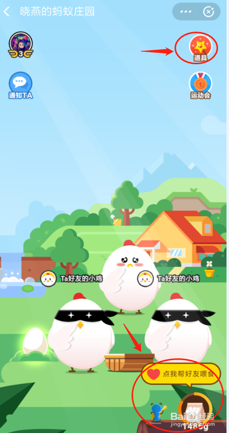 支付宝蚂蚁庄园快速养鸡攻略——1天两个蛋！