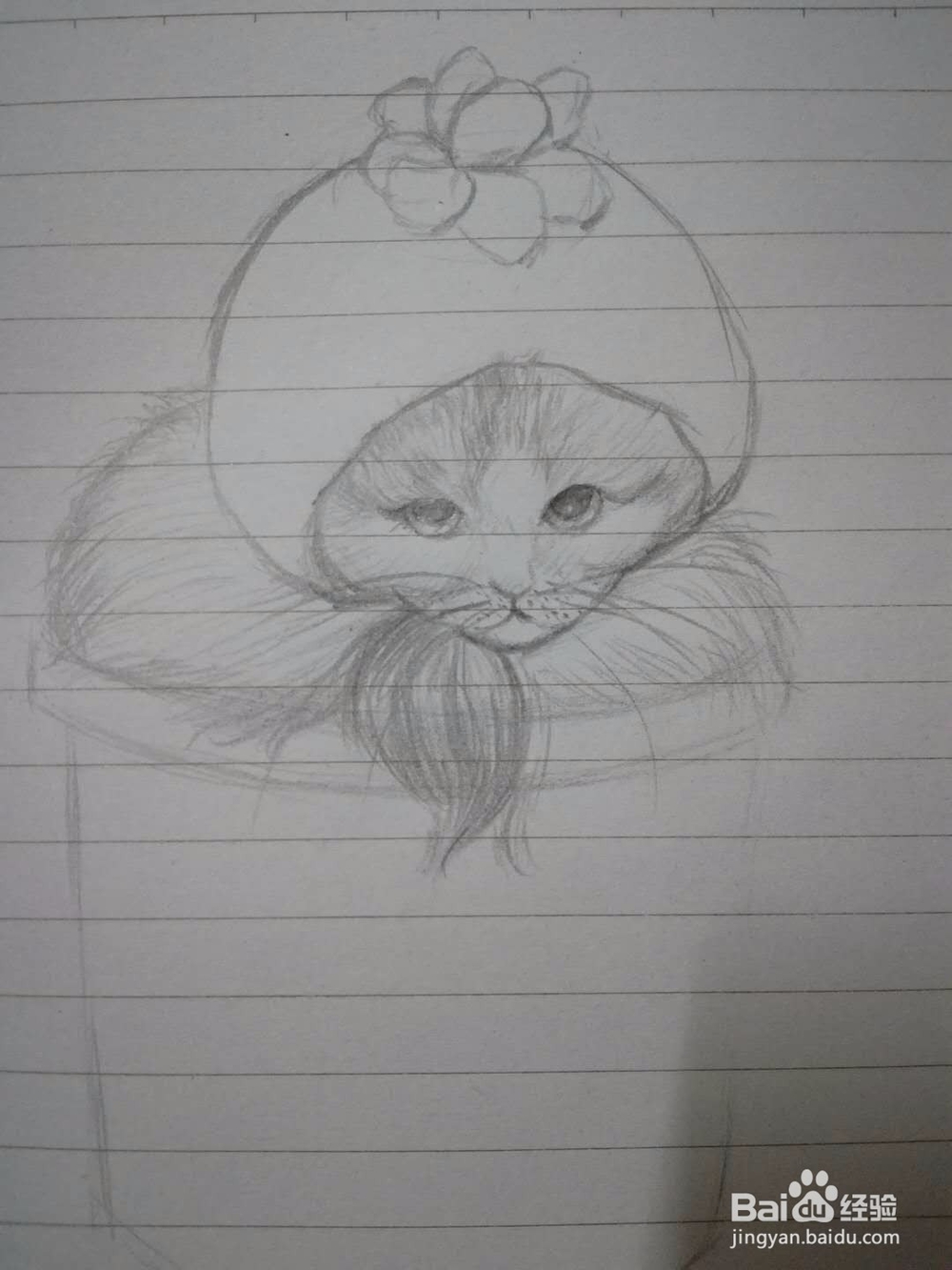《猫咪盆载》手绘插画教程