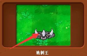 植物大战僵尸中的地刺王如何使用