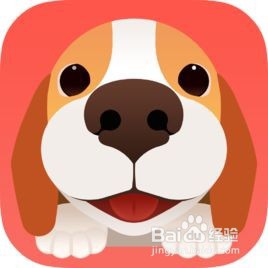 养宠物必备的5个app