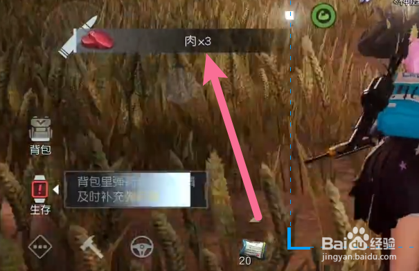 黎明觉醒肉快速获得