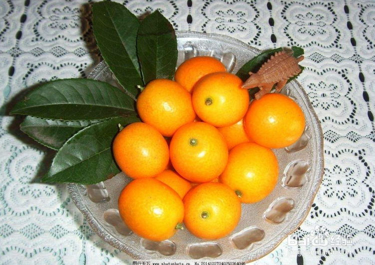 <b>小柑橘水的腌制</b>