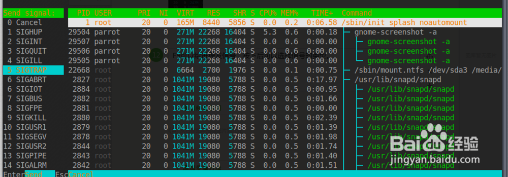 Linux系统性能和进程管理工具htop简介