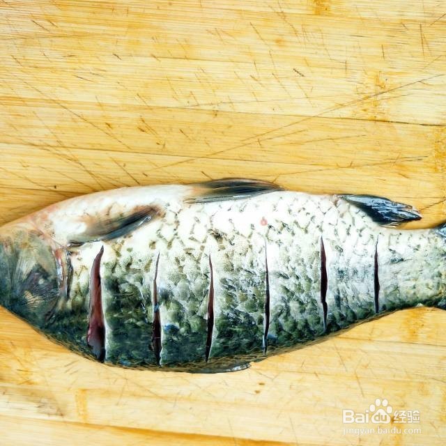 红烧鲫鱼最新美味做法!!!