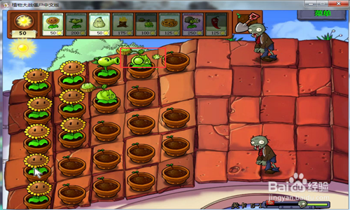 植物大战僵尸之【卷心菜投手】怎么玩?