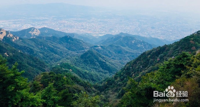 料峭春寒闲步泰山泰山旅游攻略