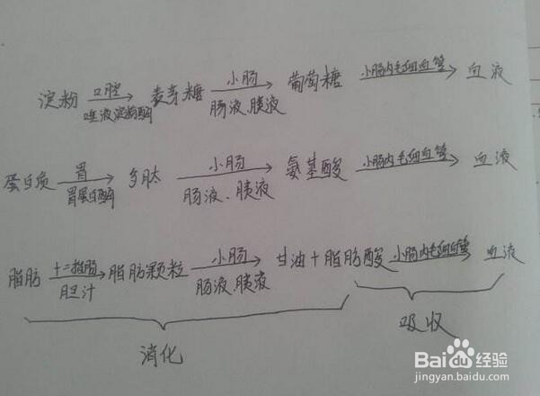 怎样提高消化吸收功能