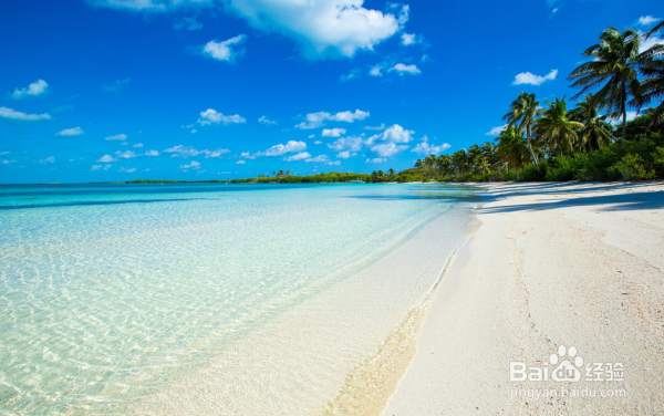 夏季海边度假时的必备“神器”,你知道哪些?