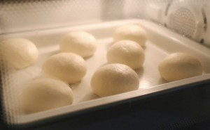 芝士培根餐包的做法